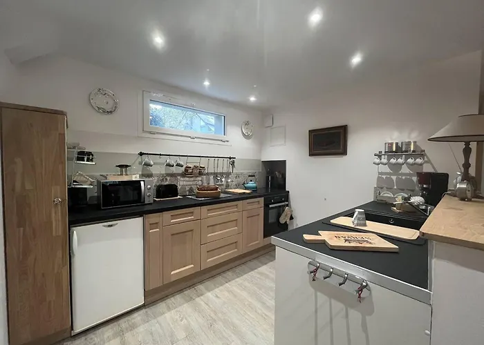 아파트 Spacieuses A Cauterets, Jardin Prive, Animaux Acceptes - Fr-1-812-108