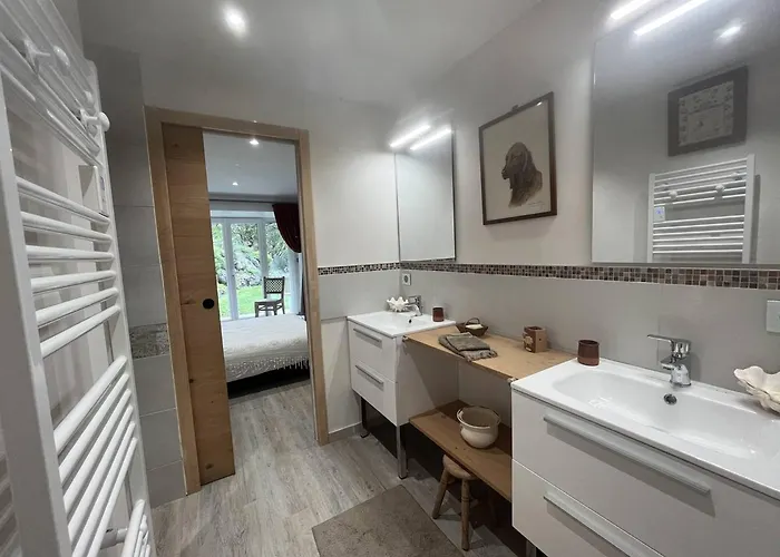 아파트 Spacieuses A Cauterets, Jardin Prive, Animaux Acceptes - Fr-1-812-108