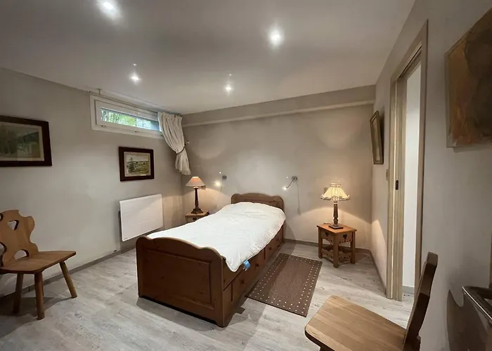 아파트 Spacieuses A Cauterets, Jardin Prive, Animaux Acceptes - Fr-1-812-108 *